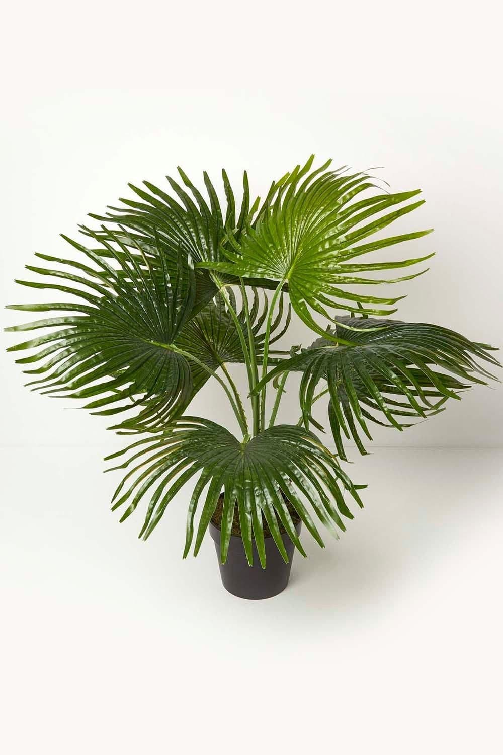 Artificial Fan Palm Tree Pot 80 cm Tall