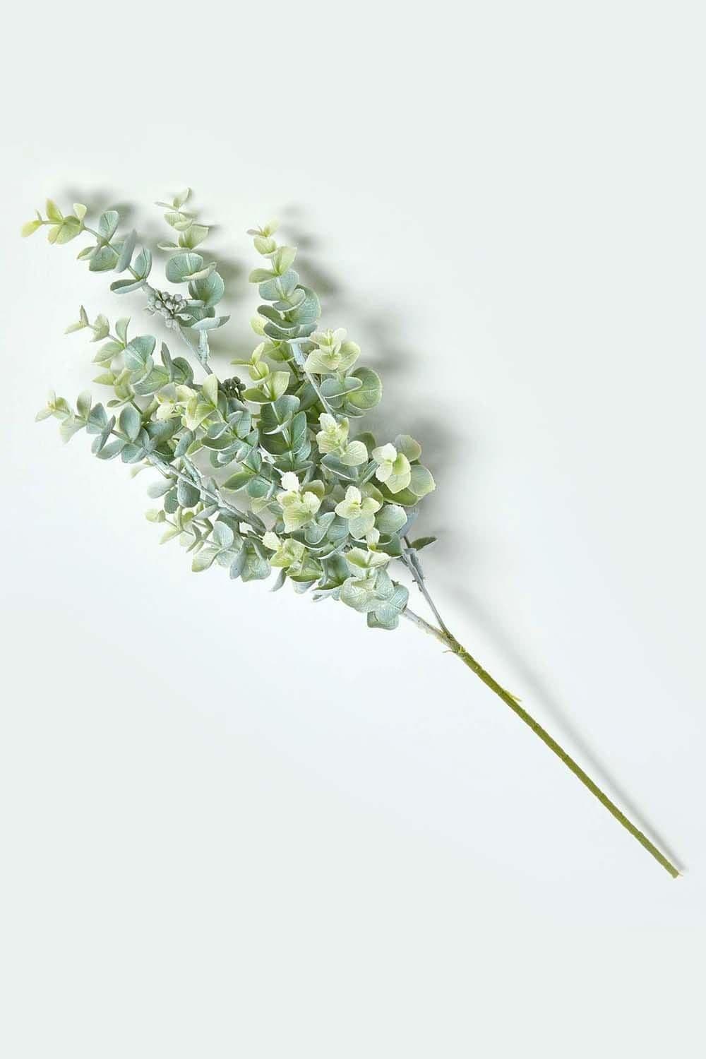 Eucalyptus Spray Single Stem 68 cm