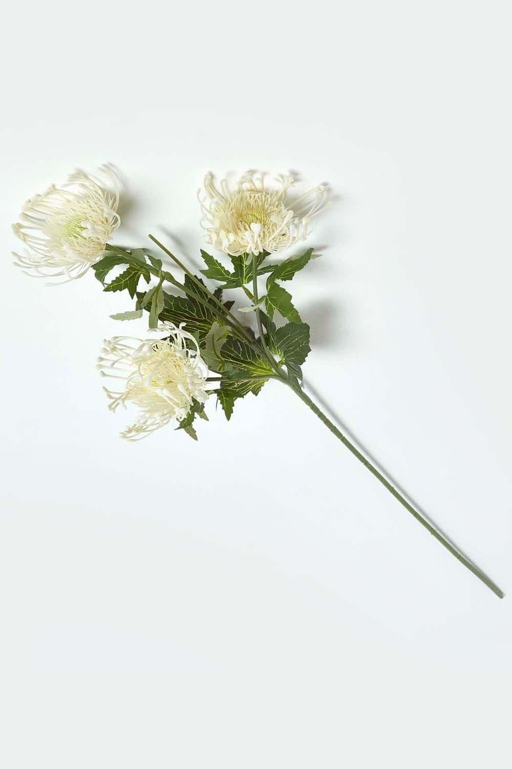 Protea Spray Single Stem Flower 65 cm