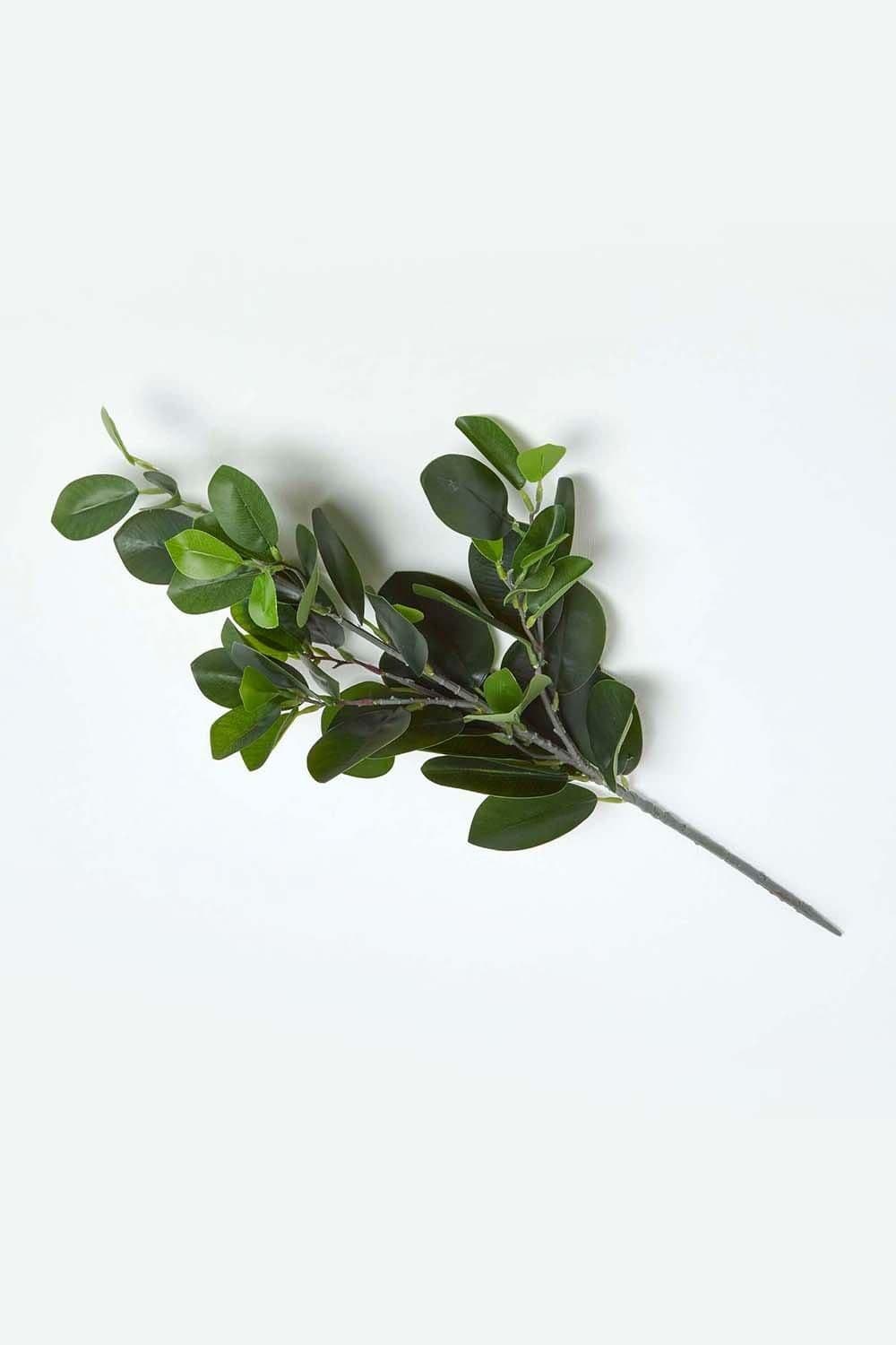 Rubber Leaf Foliage 58 cm