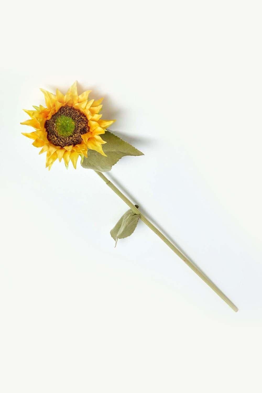 Sunflower Single Stem 80 cm