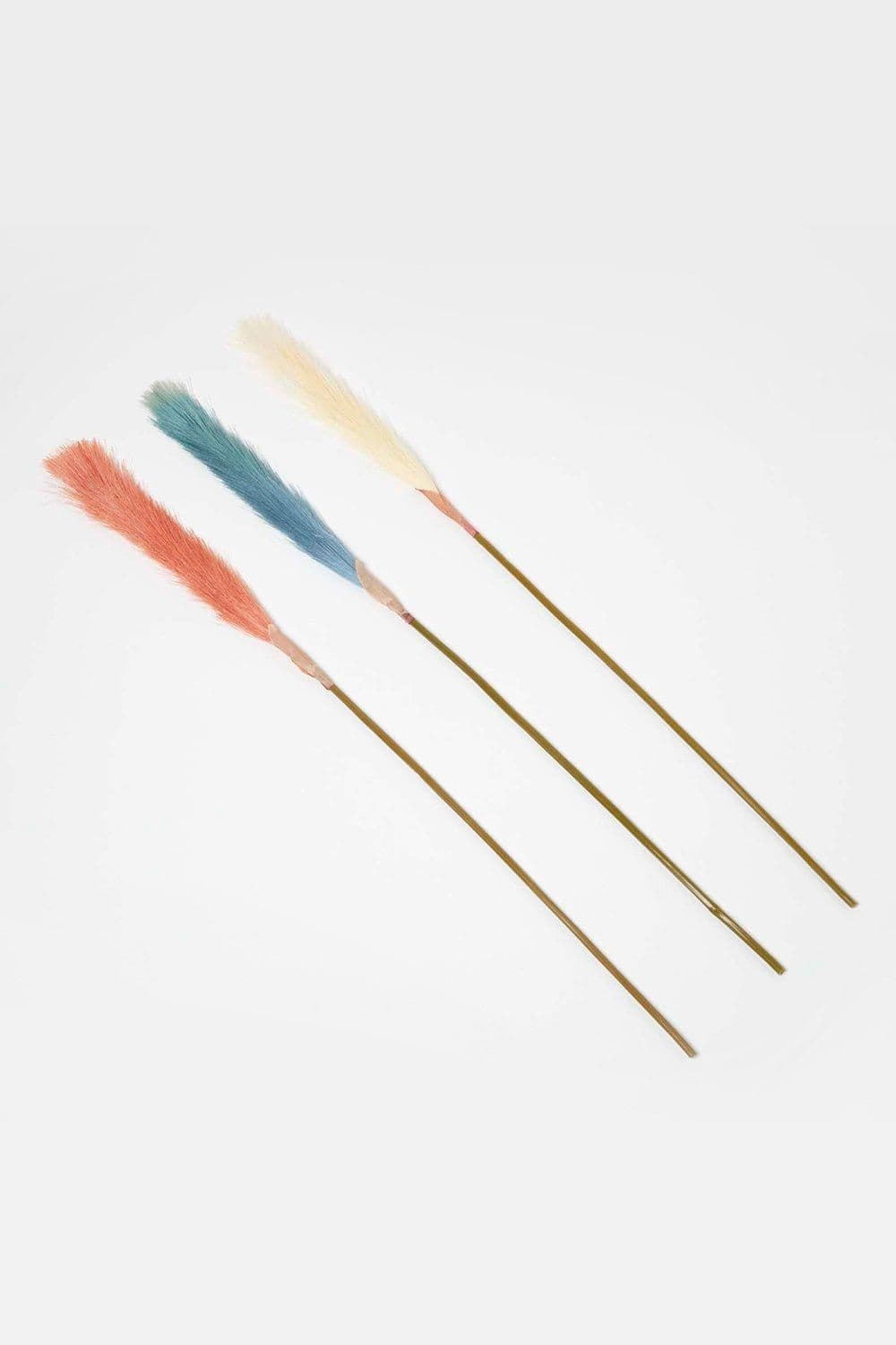 Artificial Pampas Grass Set 3 Coloured