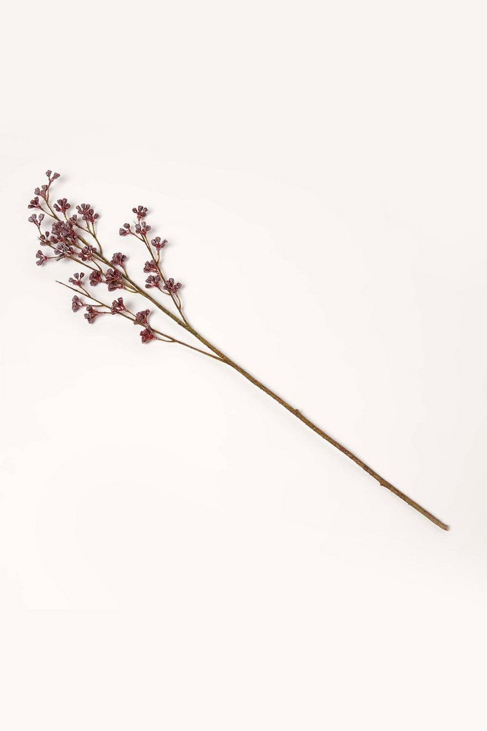 Prickly Ash Flower Single Stem 77 cm