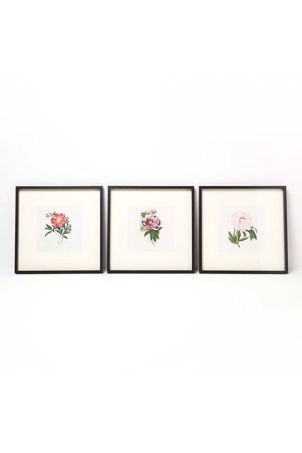 Wall Decoration Set 3 Frames Picture Peonies
