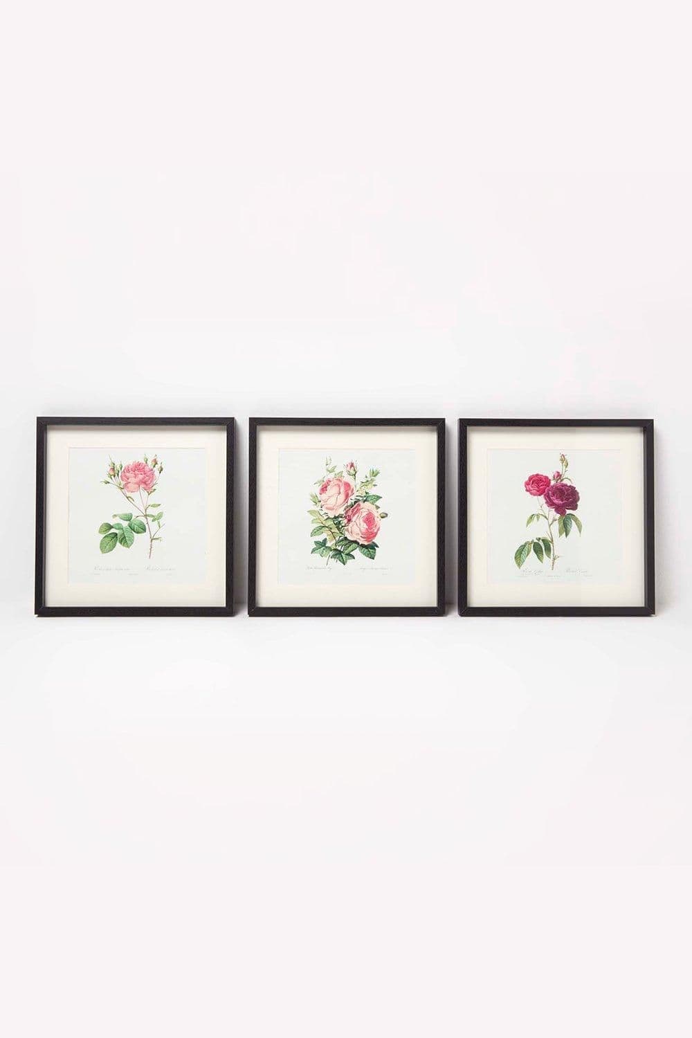 Wall Decoration Set 3 Frames Picture Roses