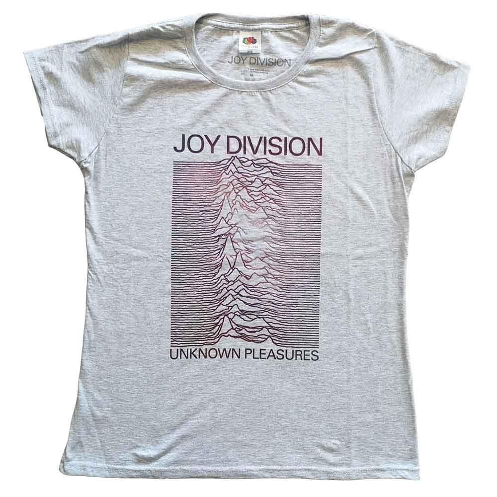 Joy Division Women's Space Lady Skinny Fit T-Shirt in Grey | Size: Small