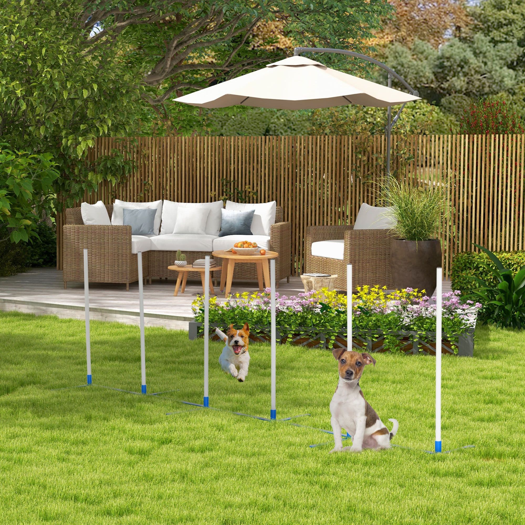 Dog Weave Pole Set Agility Starter Kit Pet Outdoor Exercise Training