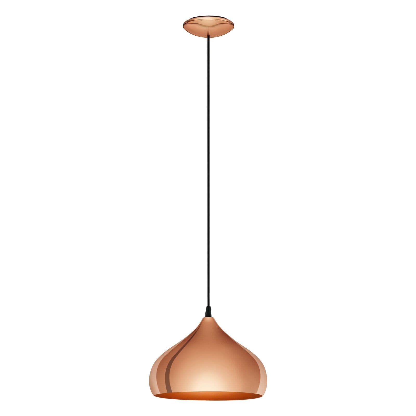 Hanging Ceiling Pendant Light Polished 1 x 60W E27 Hallway Feature Lamp