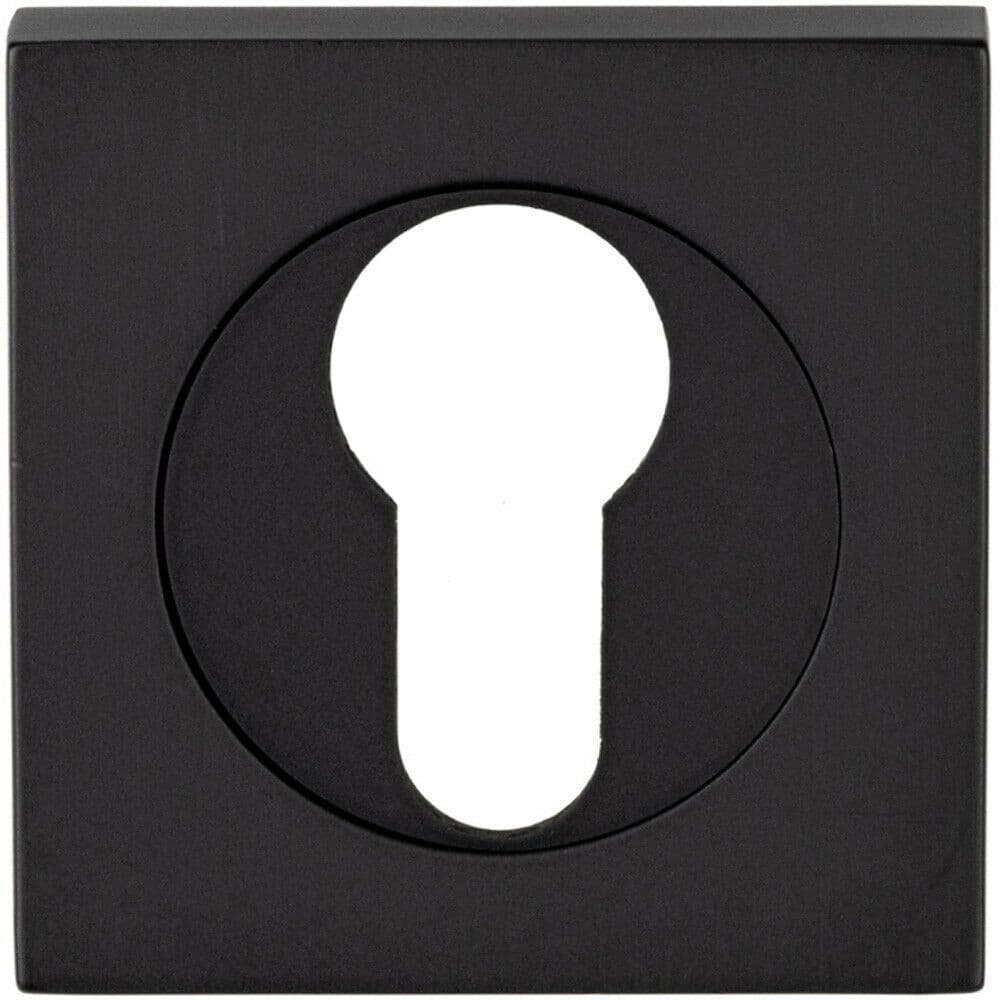 Square Euro Profile Escutcheon 52 x 52mm Concealed Fix Matt