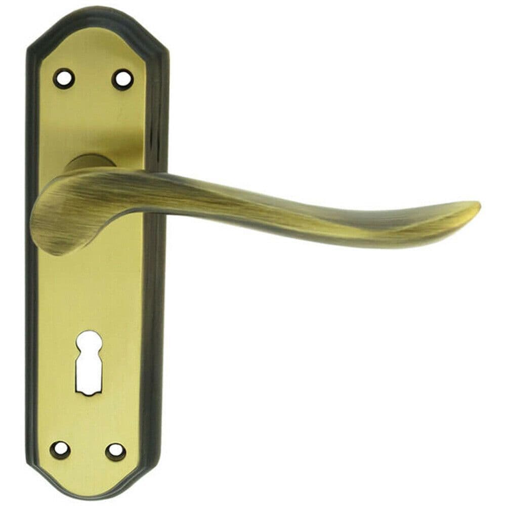 PAIR Curved Handle on Sculpted Lock Backplate 180 x 48mm Florentine