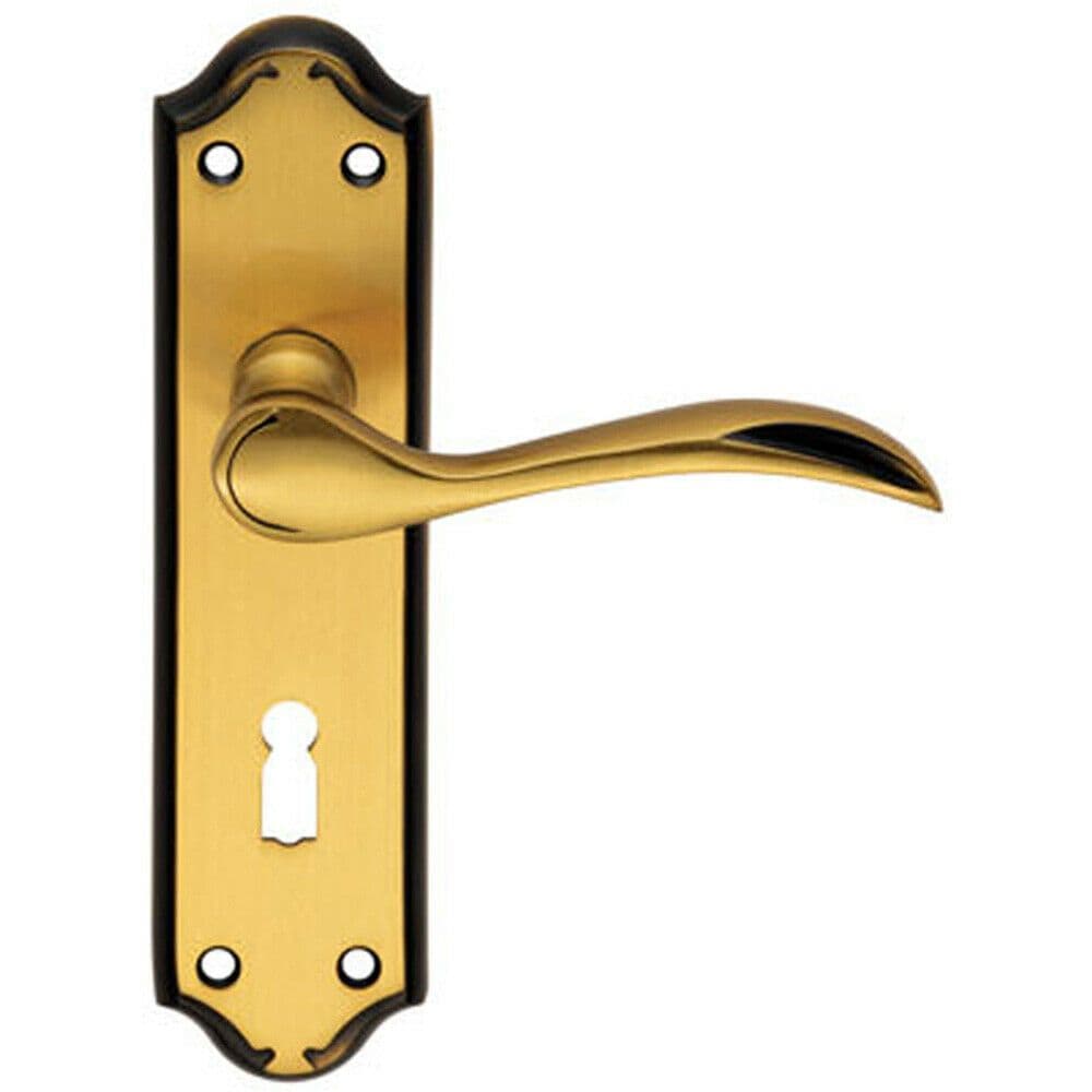 PAIR Curved Door Handle Lever on Lock Backplate 180 x 45mm Florentine