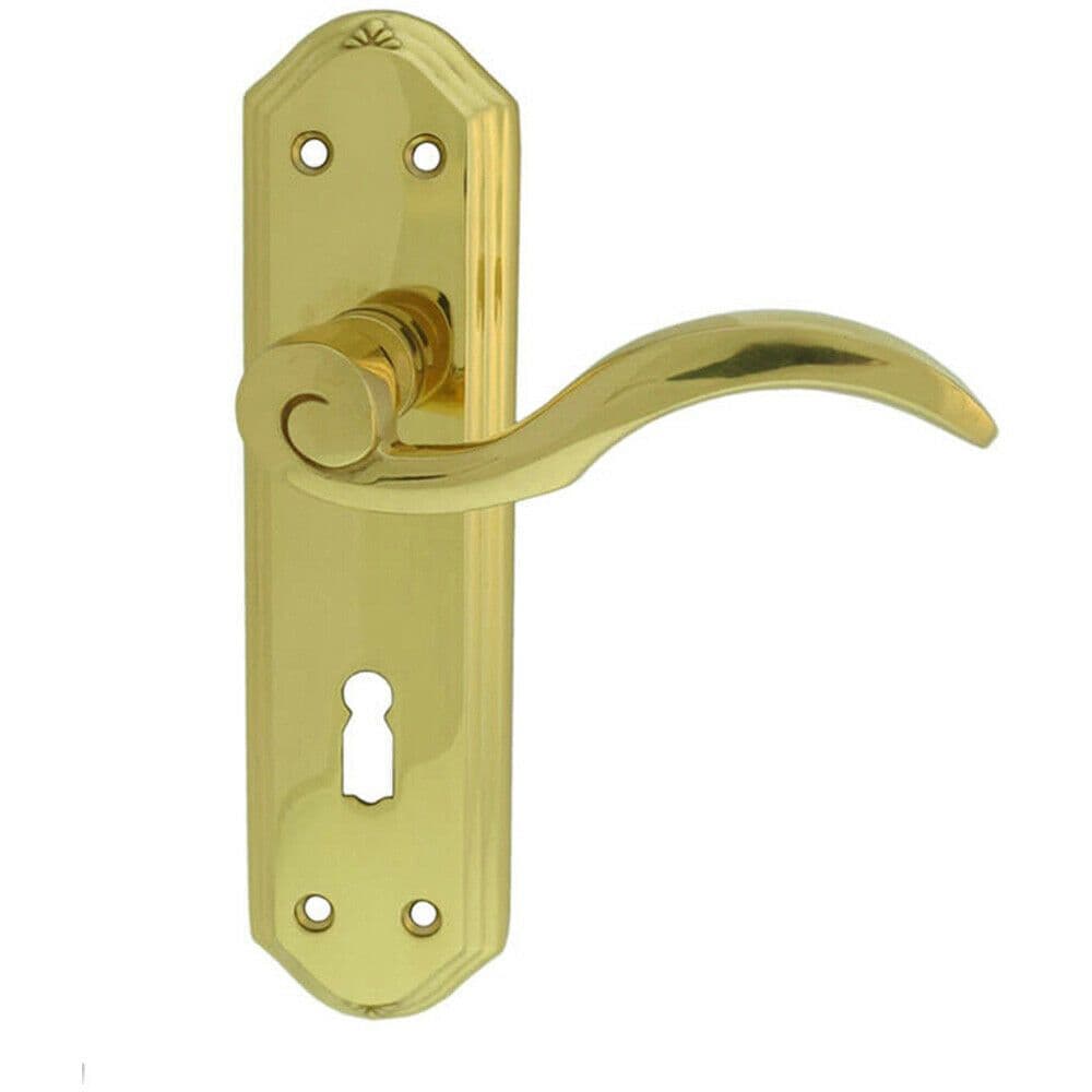 PAIR Spiral Sculpted Handle on Lock Backplate 180 x 48mm Polished Brass