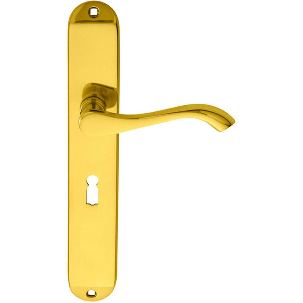 PAIR Curved Handle on Long Slim Lock Backplate 241 x 40mm Polished Brass