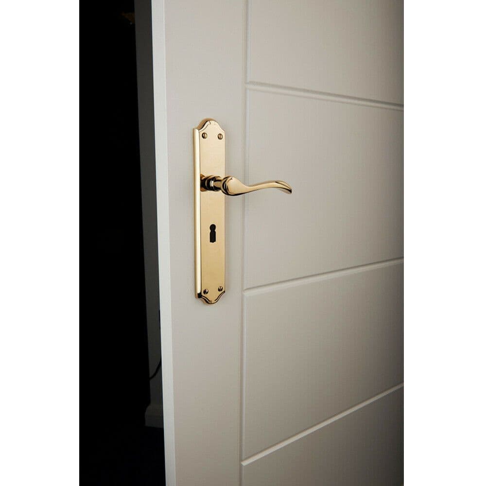 PAIR Curved Handle on Long Lock Backplate 245 x 45mm Polished Chrome