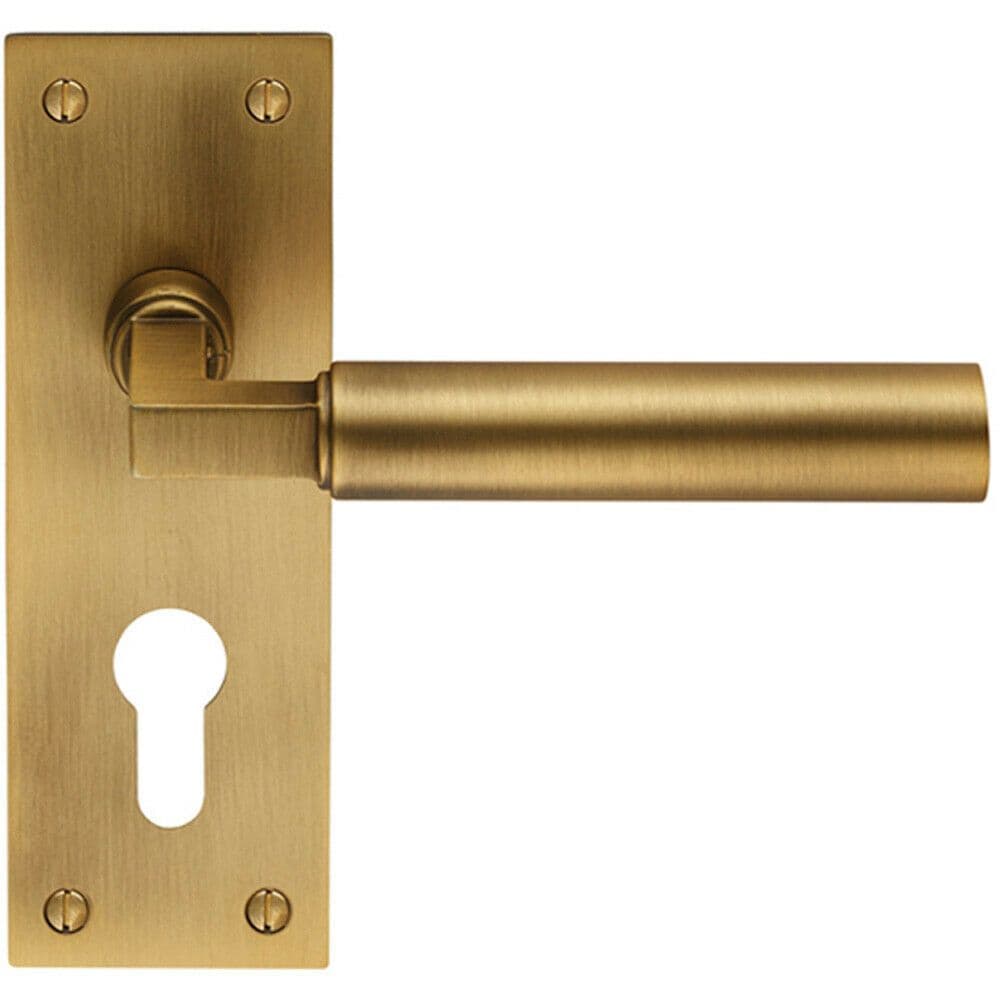 PAIR Round Bar Handle on Slim Euro Lock Backplate 150 x 50mm Antique Brass