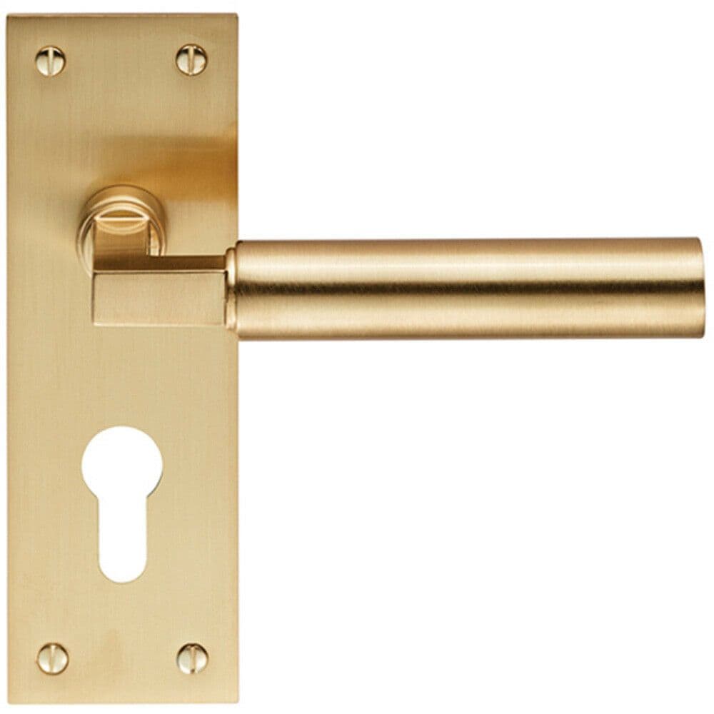 PAIR Round Bar Handle on Slim Euro Lock Backplate 150 x 50mm Satin Brass