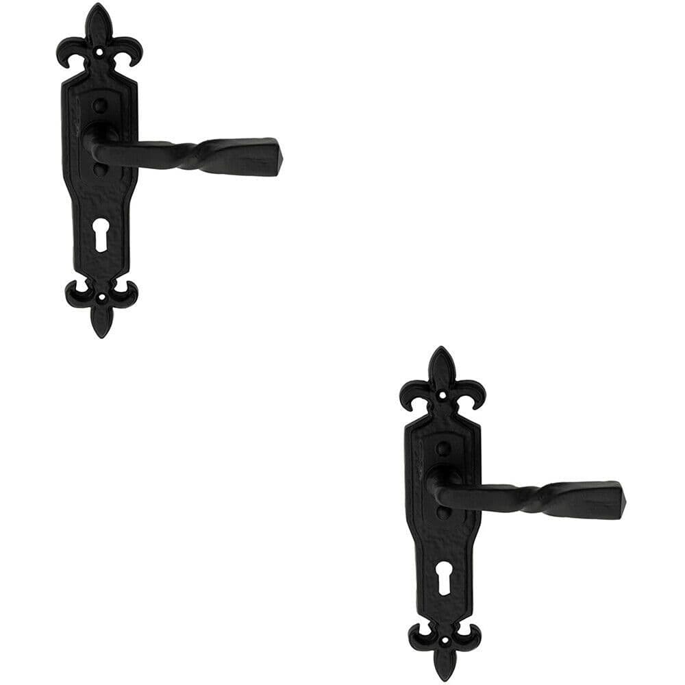 2x PAIR Forged Twisted Ornate Lever on Lock Backplate 226 x 50mm Black Antique