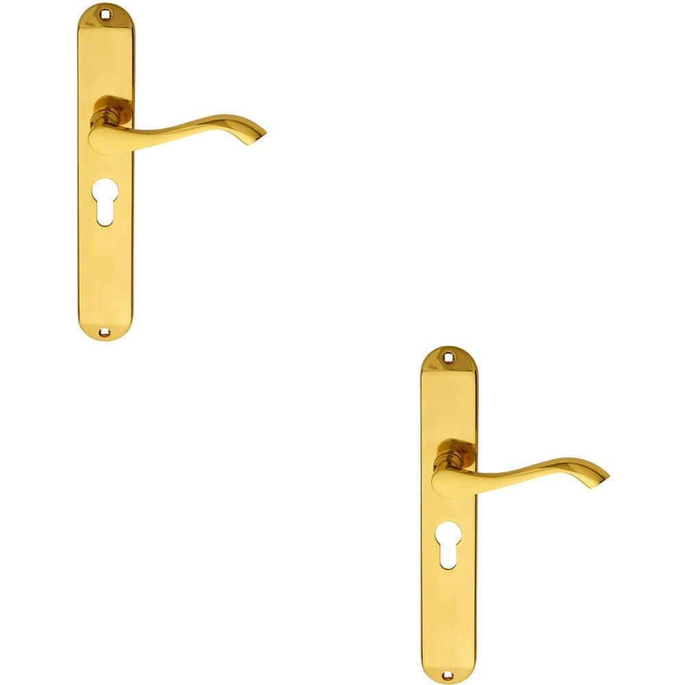 2x PAIR Curved Lever on Long Slim Euro Lock Backplate 241 x 40mm Polished Brass