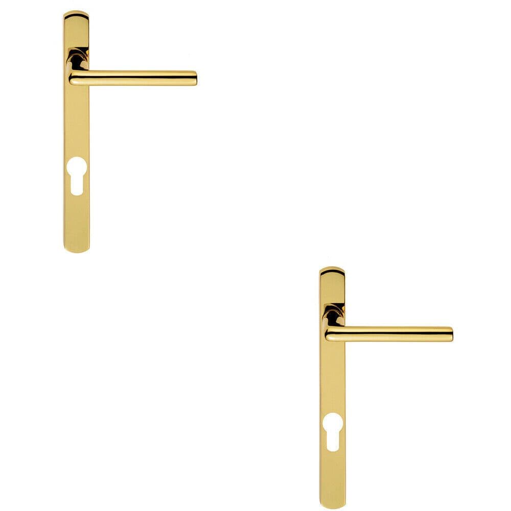 2x PAIR Straight Lever on Narrow Euro Lock Backplate 220 x 26mm Stainless Brass