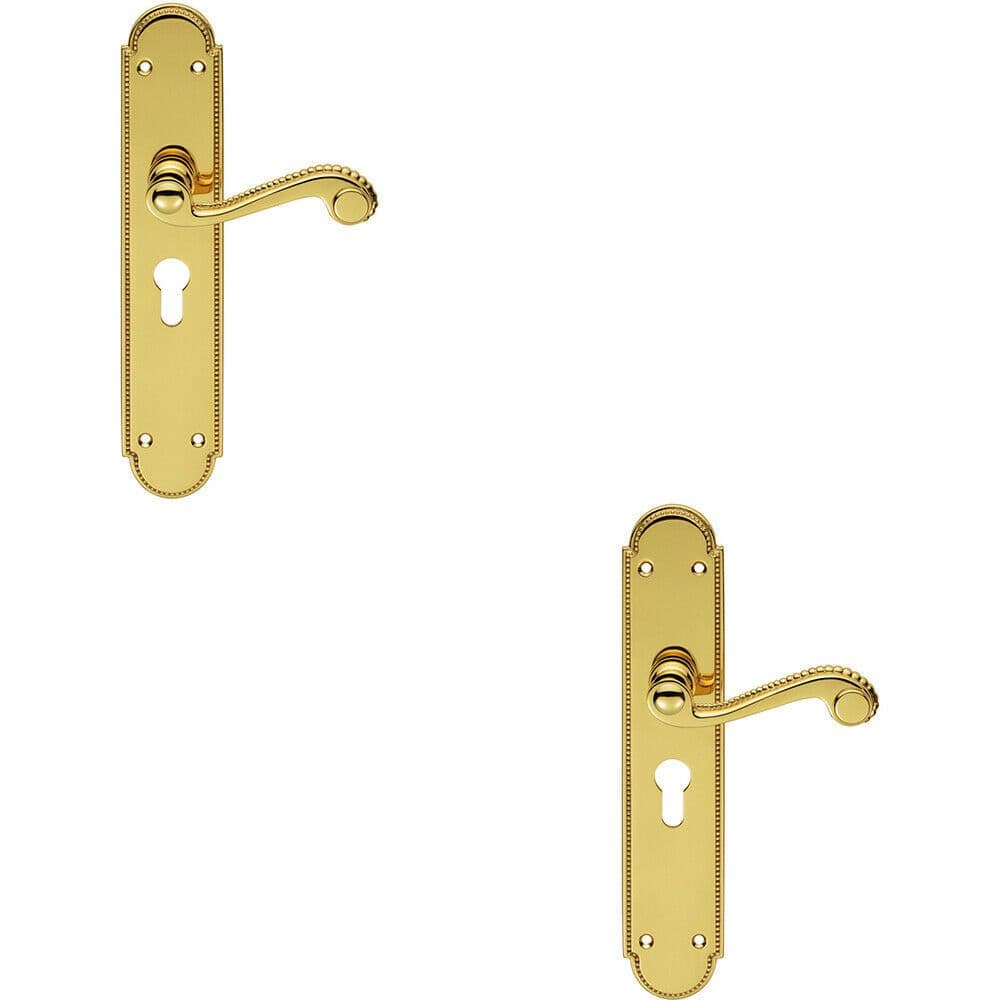 2x PAIR Beaded Pattern Handle on Euro Lock Backplate 249 x 50mm Polished Brass