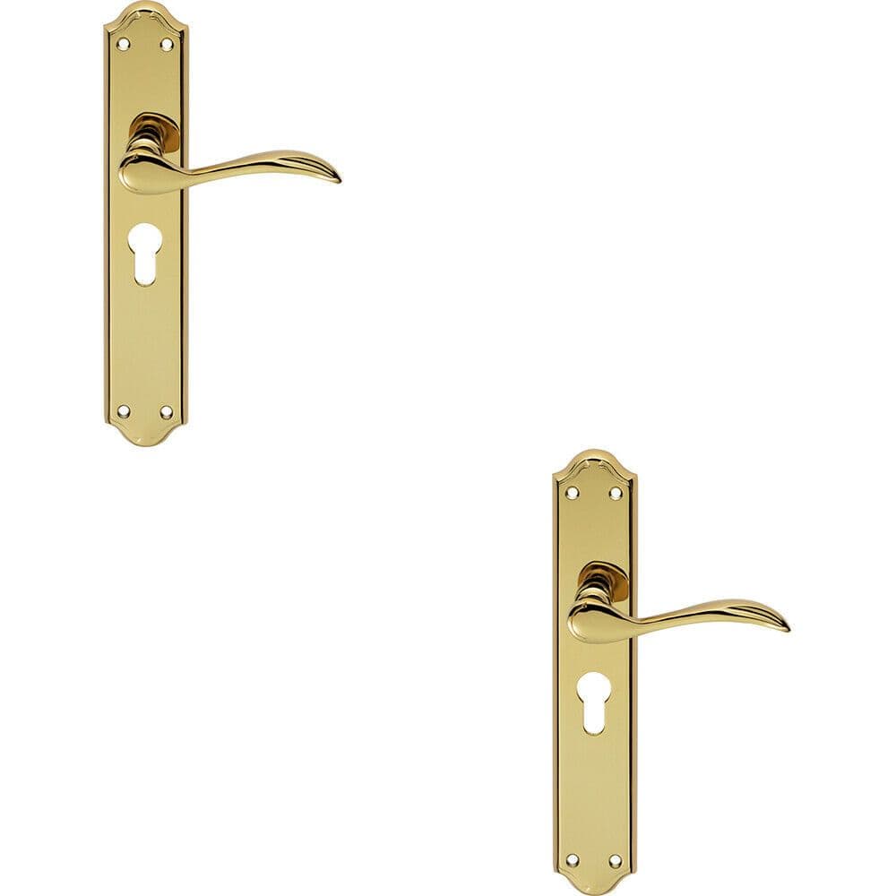 2x PAIR Curved Handle on Long Euro Lock Backplate 245 x 45mm Stainless Brass