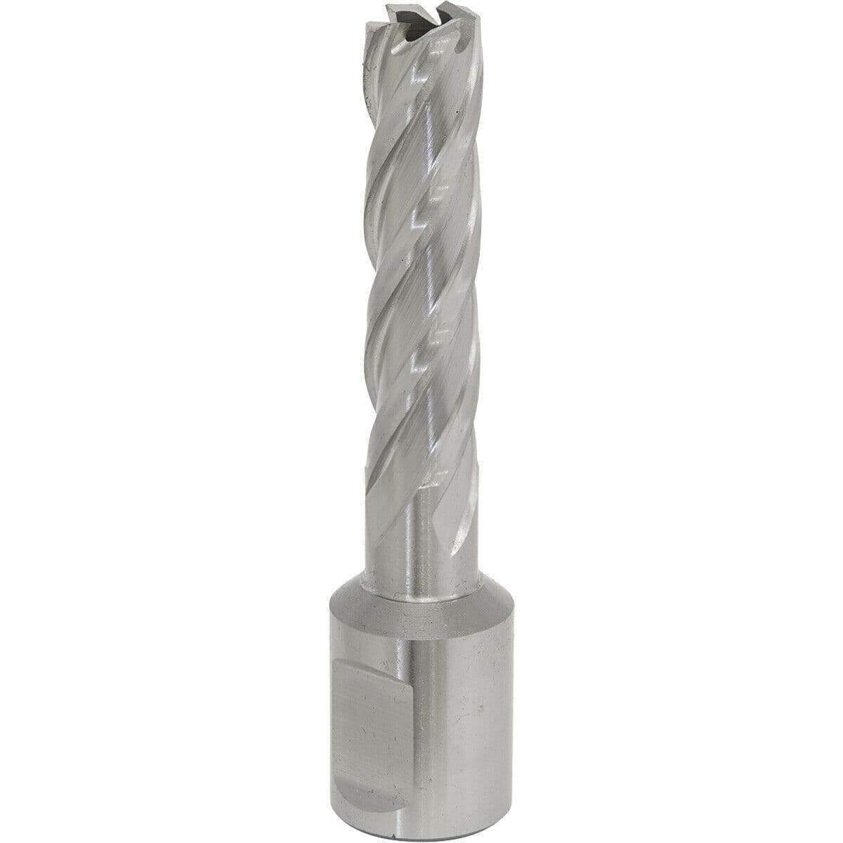 12mm x 50mm Depth Rotabor Cutter M2 Steel Annular Metal Core Drill 19mm Shank