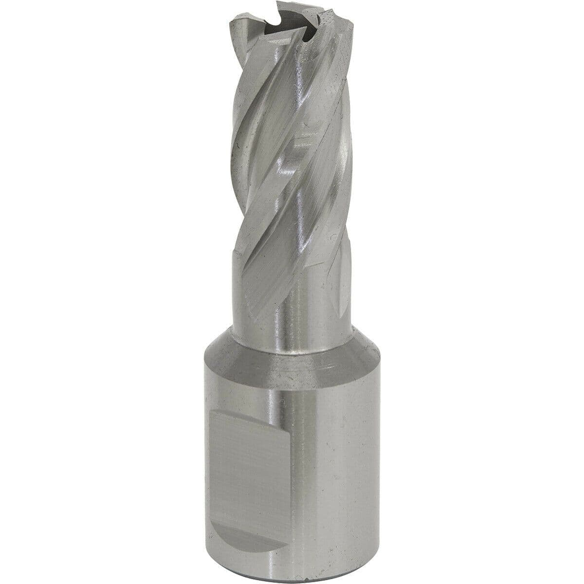 12mm x 25mm Depth Rotabor Cutter M2 Steel Annular Metal Core Drill 19mm Shank