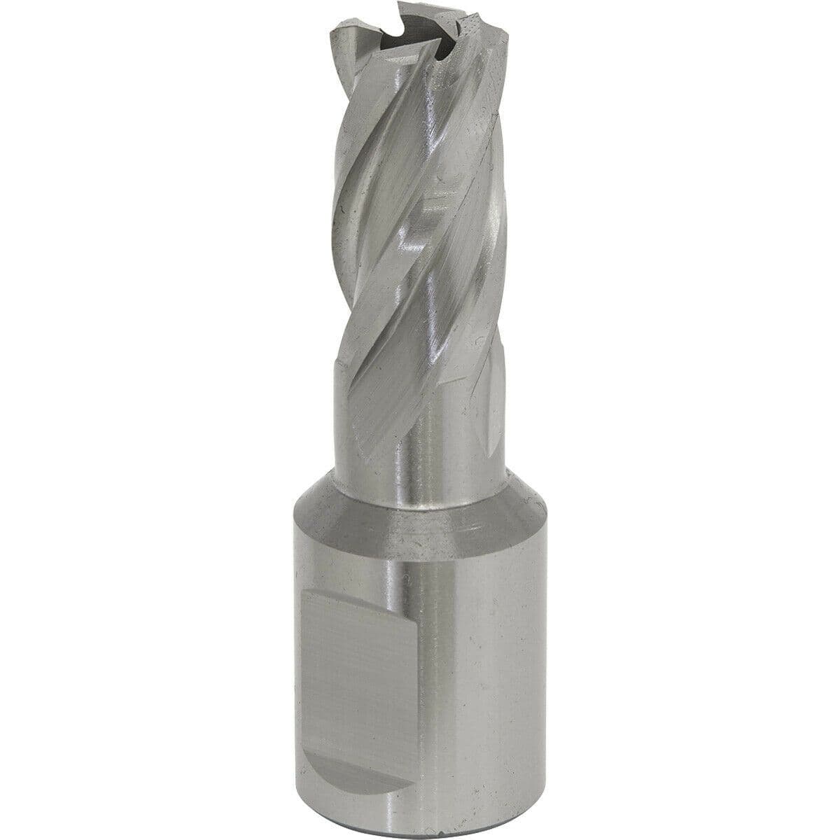 13mm x 25mm Depth Rotabor Cutter M2 Steel Annular Metal Core Drill 19mm Shank