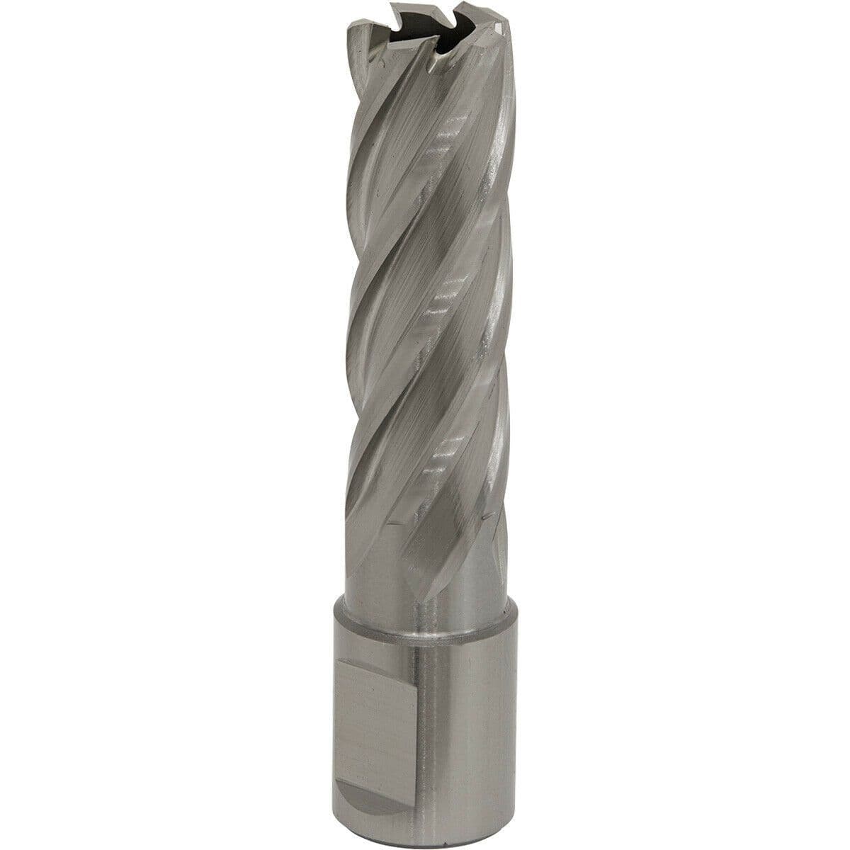 17mm x 50mm Depth Rotabor Cutter M2 Steel Annular Metal Core Drill 19mm Shank