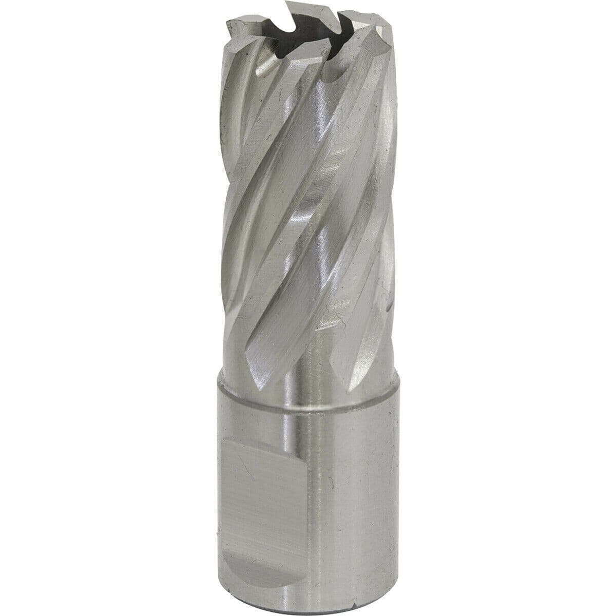 17mm x 25mm Depth Rotabor Cutter M2 Steel Annular Metal Core Drill 19mm Shank
