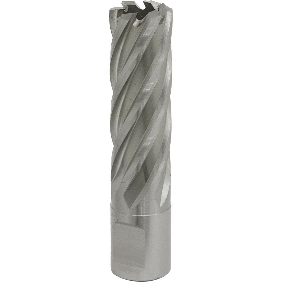 19mm x 50mm Depth Rotabor Cutter M2 Steel Annular Metal Core Drill 19mm Shank