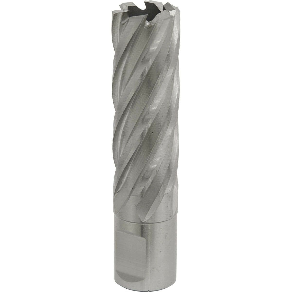 20mm x 50mm Depth Rotabor Cutter M2 Steel Annular Metal Core Drill 19mm Shank