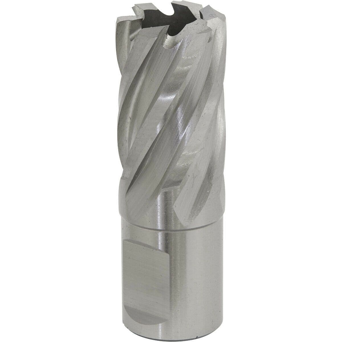 20mm x 25mm Depth Rotabor Cutter - M2 Steel Annular Metal Core Drill 19mm Shank