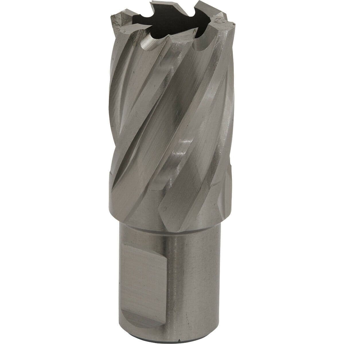 23mm x 25mm Depth Rotabor Cutter M2 Steel Annular Metal Core Drill 19mm Shank