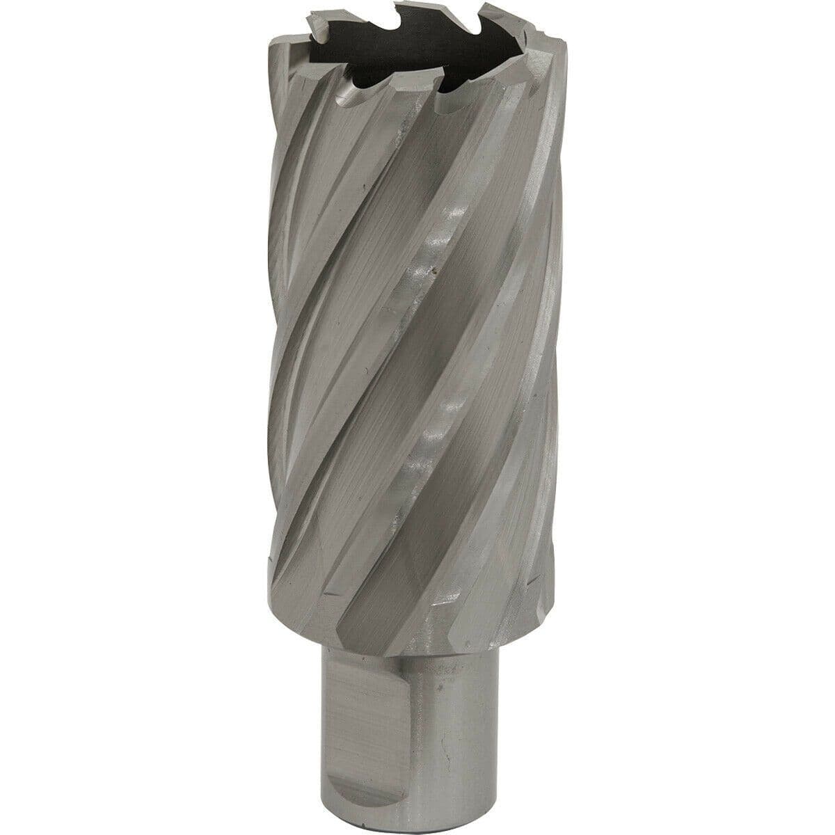 31mm x 50mm Depth Rotabor Cutter M2 Steel Annular Metal Core Drill 19mm Shank