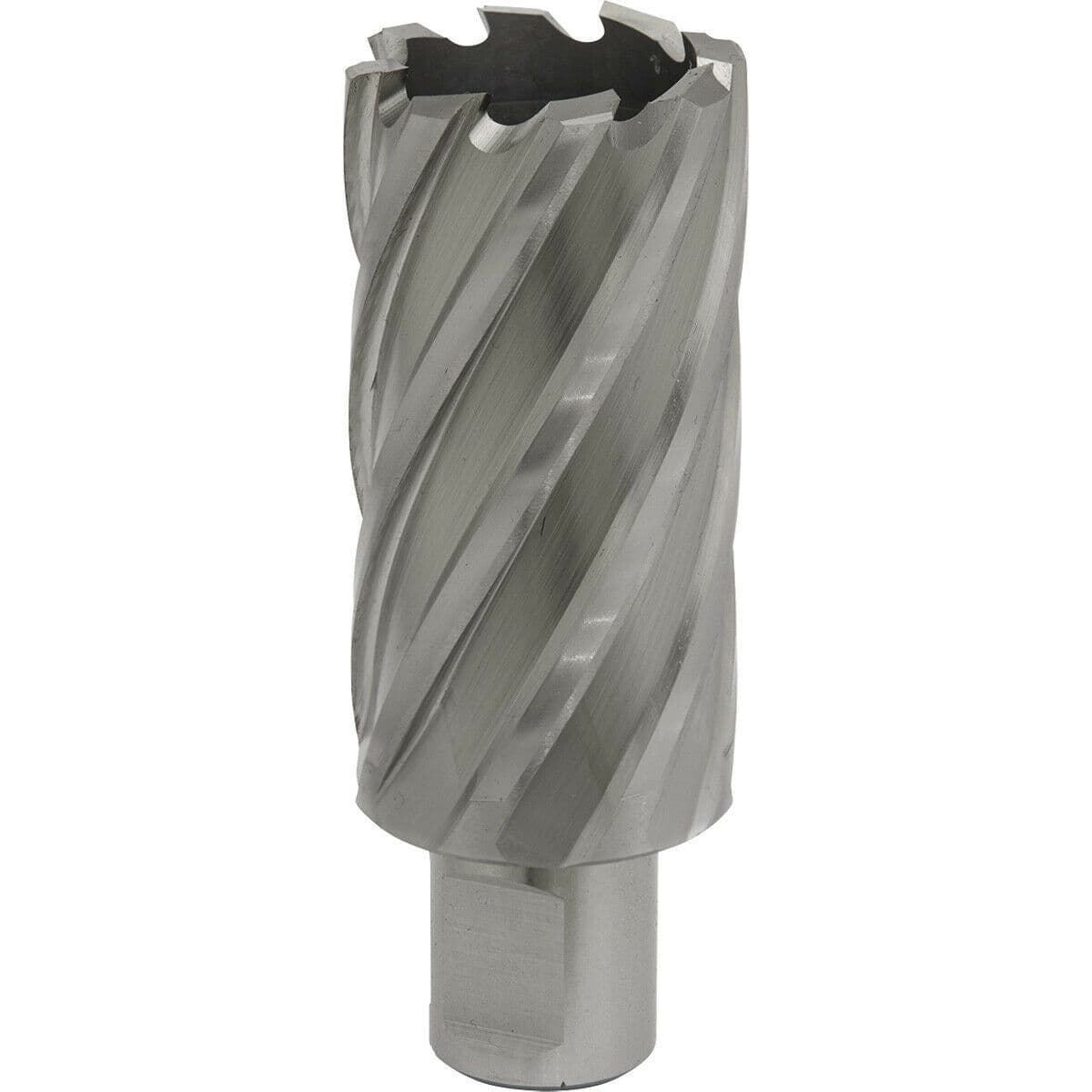 32mm x 50mm Depth Rotabor Cutter M2 Steel Annular Metal Core Drill 19mm Shank