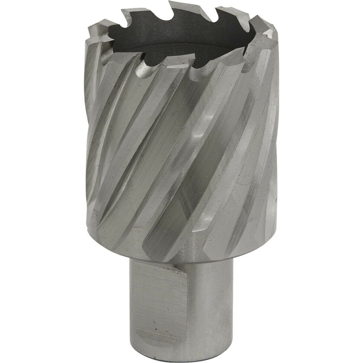 34mm x 25mm Depth Rotabor Cutter M2 Steel Annular Metal Core Drill 19mm Shank