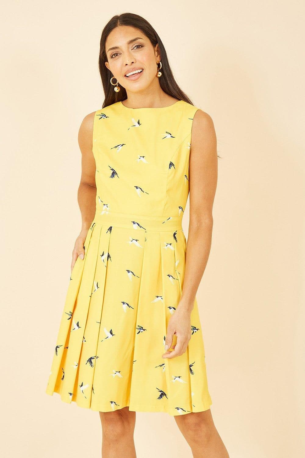 Swallow Print Skater Dress