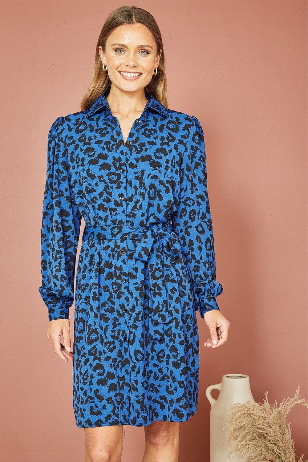 Animal Print Long Sleeve Shirt Dress
