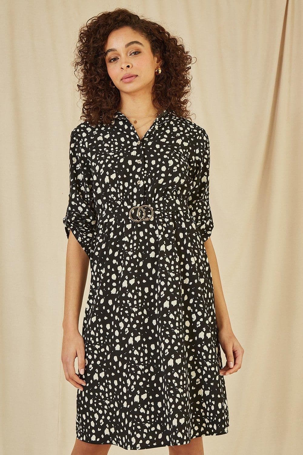 Dash Print Skater Dress Buckle