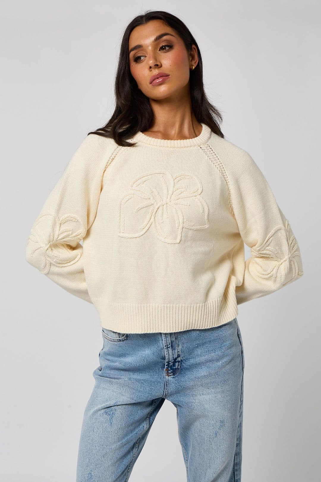 Urban Bliss Women's Crochet embroidery raglan jumper in Cream | Size: 16