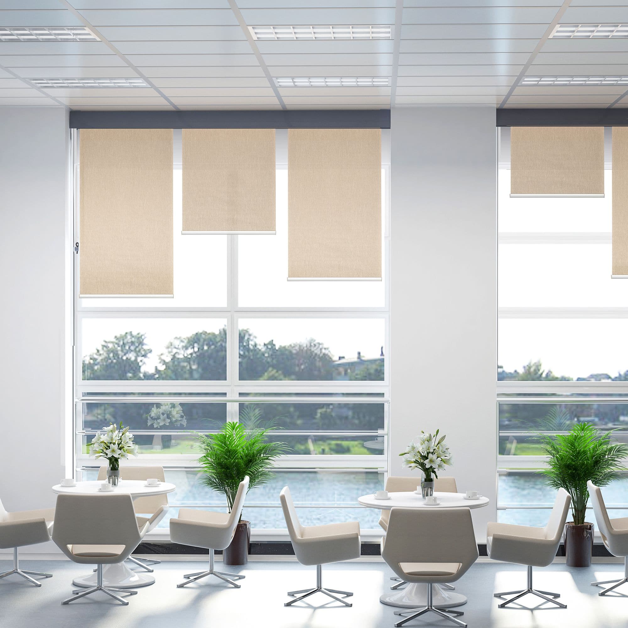 Electric Smart Roller Blinds for Windows with Remote