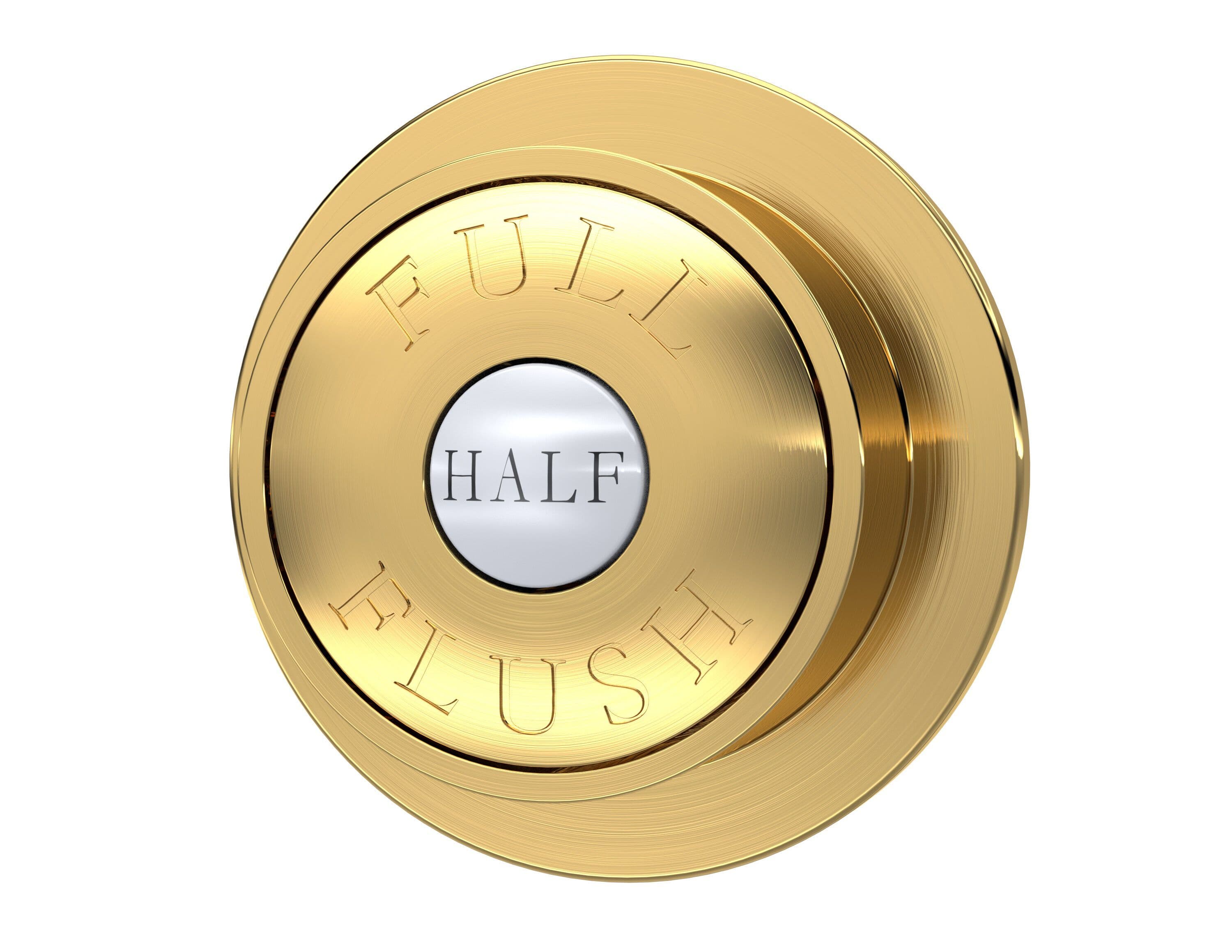 Traditional Dual Flush Push Button Brushed Brass 72mm