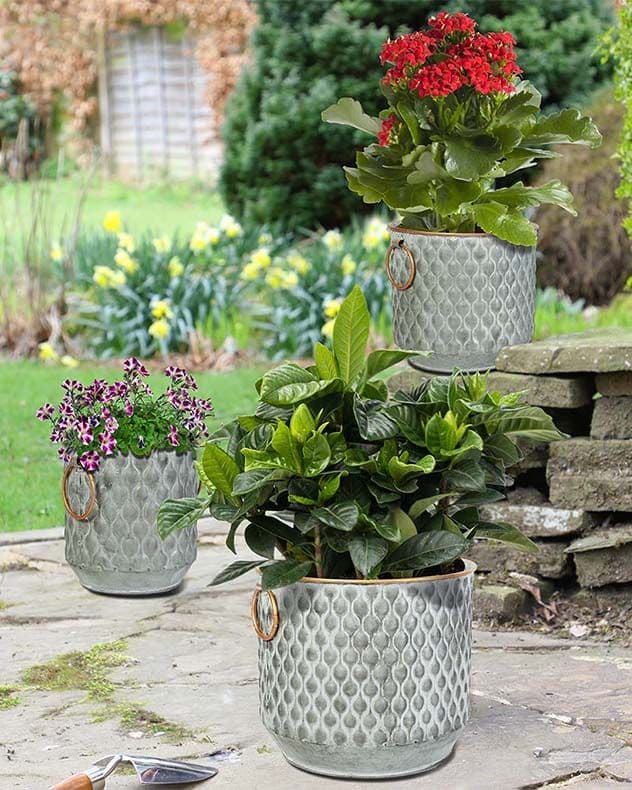 Set 3 Textured Dolly Indoor Outdoor Planter Garden Decorative Plant Pots Handles