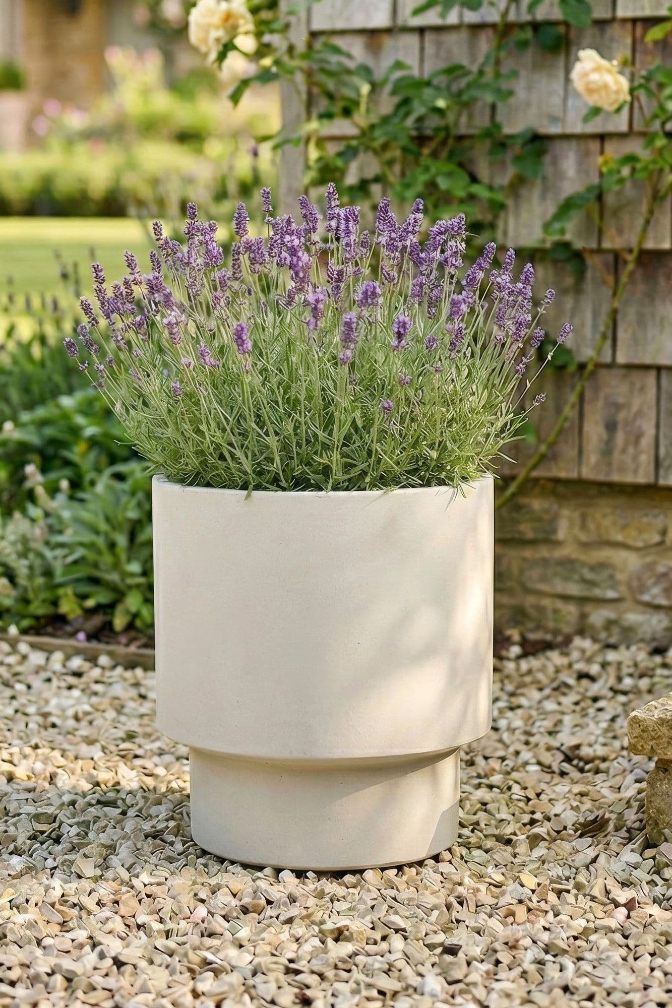 Medium Fibre Clay Indoor Outdoor Garden Planter Houseplant Flower Plant Pot