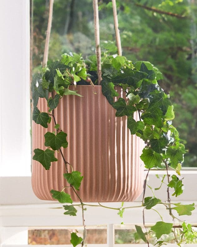 Small Rib Terracotta Hanging Pots Planter Indoor Outdoor Garden Houseplant Flower Plant Pot