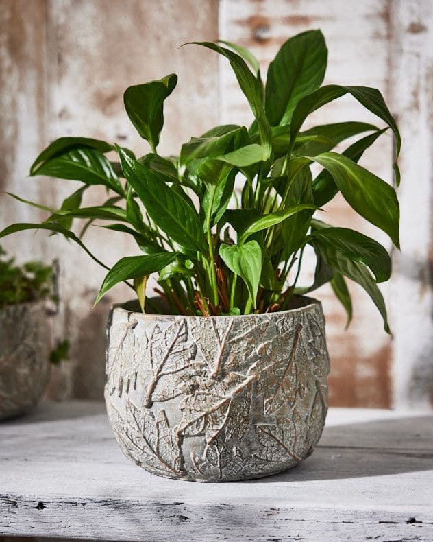 Contemporary Leaf Embossed Large Flower Planter Indoor Outdoor Plant Pot