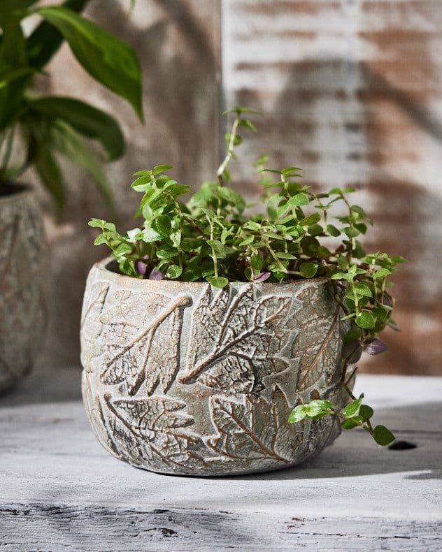 Contemporary Leaf Embossed Small Flower Planter Indoor Outdoor Plant Pot