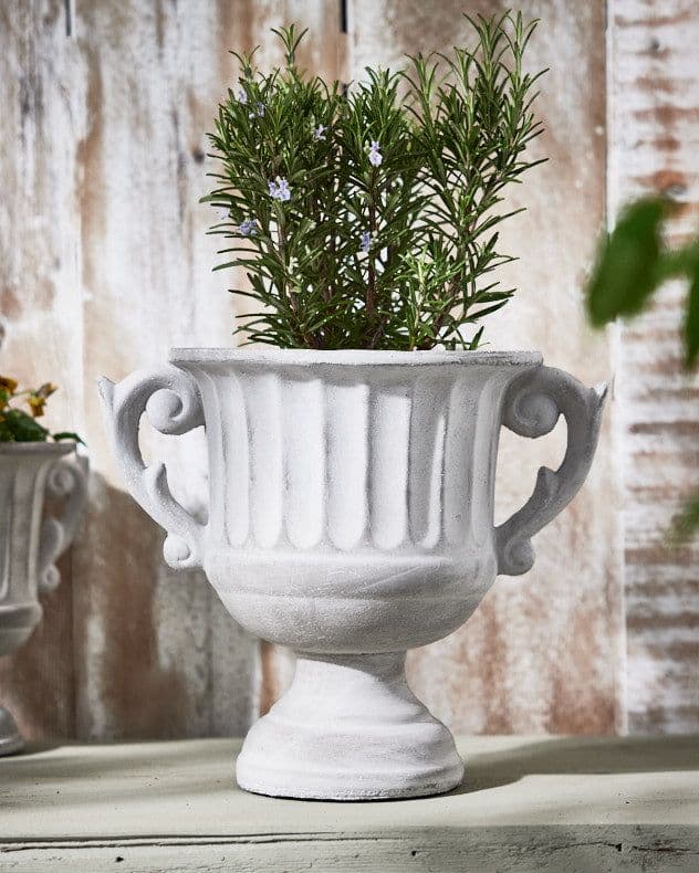 Vintage Style Concrete Large Indoor Outdoor Planter Plant Pot Baroque Scrolled Handles