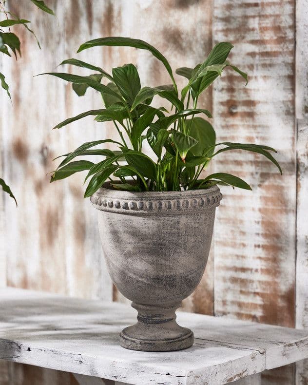 Vintage Style Cement Footed Garden Décor Plant Pot Indoor Outdoor Planter